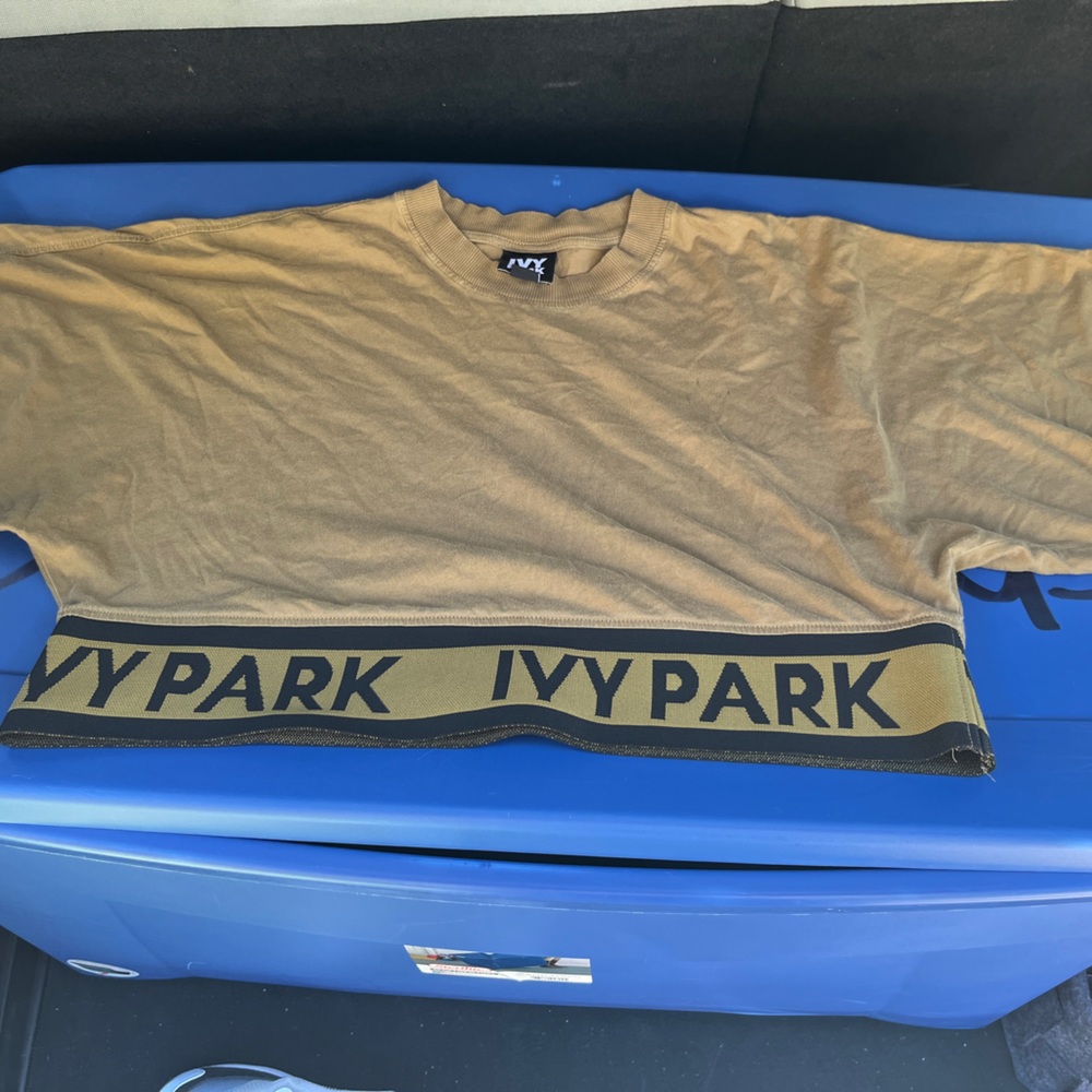 Ivy park crop top